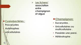 les thallophytes [upl. by Leroy]