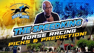 Speed Kings 2022 Hambletonian Top Picks  15th Race Meadowlands  Saturday 862022 [upl. by Mali545]