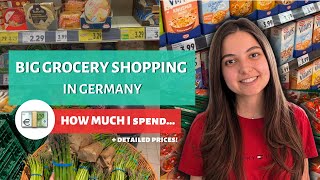 GROCERY SHOPPING IN GERMANY 💶 🛒🇩🇪  Detailed Prices How Much I Spend amp Supermarket Tour [upl. by Lehar]