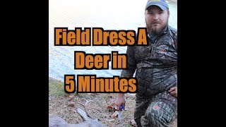 How To Field Dress a Deer in 5 Minutes [upl. by Ahsikcin]