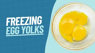 How to Freeze Egg Yolks  Our Guide to Freezing Egg Yolks [upl. by Mochun861]