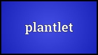 Plantlet Meaning [upl. by Obala]