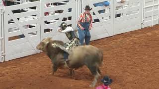 2023 Fort Worth Stock Show amp Rodeo  Bulls Night Out [upl. by Panthia]