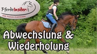 Motivierendes Pferdetraining Abwechslung und Wiederholung im Einklang [upl. by Hashim]