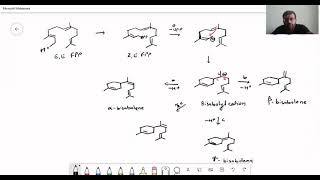 Sesquiterpenes And Diterpenes  Mevalonate Pathway [upl. by Aleibarg]