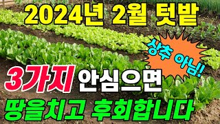 2024년 2월 텃밭 이 3가지 심지 않으면 땅을 치고 후회합니다 [upl. by Enneillij397]