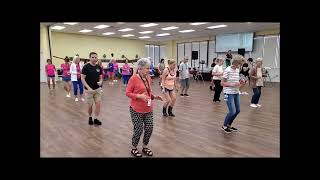 Southern Belles Line Dance by Sue Ann Ehmann Demo [upl. by Kosak135]