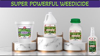 Sansar Green Liquid Weeds Remover for Removing all types of Wild Weeds [upl. by O'Neil]