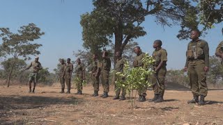 Les Courageuses l’armée féminine contre le braconnage au Zimbabwe [upl. by Adnak]