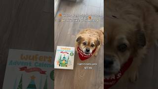 🎁 Advent calendar for dogs from Costco Plus World Market 🎁✨🎄 adventcalendar costplusworldmarket [upl. by Anivid364]