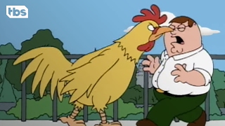 Family Guy The First Chicken Fight Clip  TBS [upl. by Chari107]