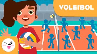 VOLEIBOL para niños  Reglas básicas [upl. by Niveek]