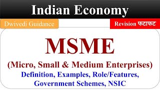 MSME msme definition msme Role msme kya hai msme schemes MSMED Act 2006 Indian economy bcom [upl. by Eentruok]