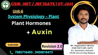 Auxin  Plant Hormones  Quick Revision  Lecture4  Plant Physiology  Unit6 [upl. by Aiyn100]