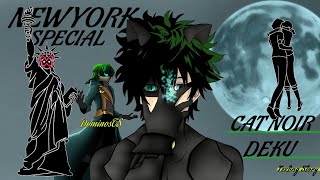 New York SpecialCat Noir Deku MHABNHA Texting Story series DominosTS7 [upl. by Winthorpe737]