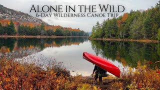 6 Days Camping Alone in the Canadian Wilderness  Killarney [upl. by Sigismundo643]