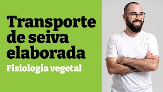 Transporte de seiva elaborada ENTENDA  Fisiologia vegetal  Aula 26  Botânica  Prof Gui [upl. by Dorr92]