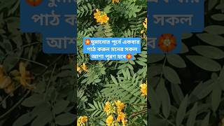 🌱🕋রাতে ঘুমানোর পূর্বে একবার পাঠ করুন ও প্রাকৃতিক সৌন্দর্য ফুলের ভিডিওnatureduashortsfeed [upl. by Aneema]