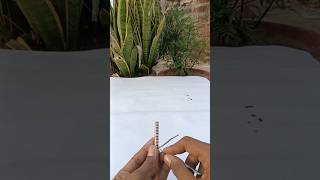 Diwali rocket experiment craft activityidea [upl. by Washko]