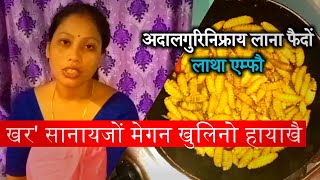 Udalguri थांनानै जोबोर मेंबाय  Emfu Latha  Silkworm Recipe  Runu Swargiary Vlog [upl. by Westfall]