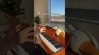 Donner DDP80 Digital Piano Review by Dasha Shpringer [upl. by Cosetta]