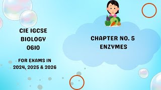 Chapter 5 Enzymes IGCSE Paper Biology 0610 [upl. by Sigler]