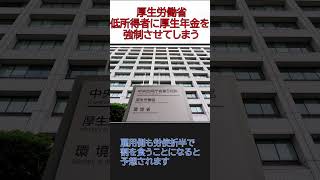 厚生労働省、低所得者に厚生年金を強制し手取りを減らす鬼畜の所業に出てしまう 時事 政治 厚生労働省 お金 年金 社会保障 [upl. by Letram873]