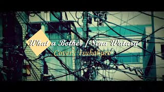 What a Bother  Sena Wataru  Cover  Isubokuro [upl. by Julie92]