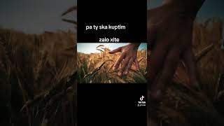 pa ty ska kuptim zalo xite müzik song lyrics love music newsong [upl. by Garey530]