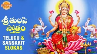 Sri Tulasi Stotram  Goddess Sri Lakshmi Devi Songs  Telugu and Sanskrit Slokas  Devotional TV [upl. by Neelhtak]