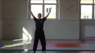 Qi Gong des 8 pièces de brocart Ba Duan Jin  八段锦 [upl. by Nnalorac73]