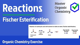 Fischer Esterification [upl. by Primavera]