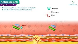 Anticoagulants Pharmacology [upl. by Savvas]