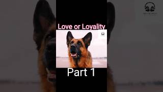 Love or Loyality  Sad story  Dog lover shorts [upl. by Dunseath848]