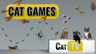 Cat Games  Ultimate Cat TV Bugs and Butterflies Compilation Vol 2  Videos for Cats to Watch🐱 [upl. by Wadesworth]