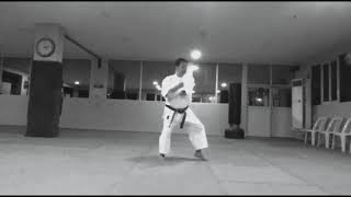 KIHON KATA GODAN  SHORIN RYU SHIDOKAN [upl. by Hilton945]