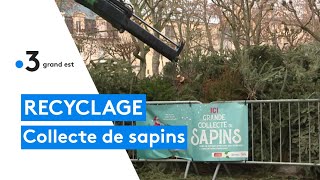 Des points de collecte pour le recyclage des sapins [upl. by Clarita622]