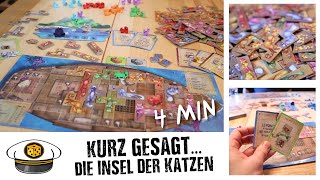 Kurz gesagt 🐱 INSEL DER KATZEN Überblick in 4 MINUTEN [upl. by Kaitlin]