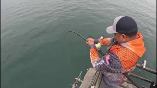 Fishing Thresher Shark at Huntington Beach Pier [upl. by Sharma530]