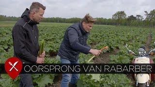 Oorsprong van rabarber [upl. by Oicelem]