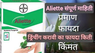 Aliette fungicide in marathi  aliette bayer aliette संपूर्ण माहिती  ड्रिंचींग फायदा [upl. by Nylak804]