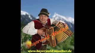 BayerwaldMusiker  De Musik von friaer [upl. by Tezile]