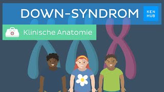 DownSyndrom Ursachen Diagnose Merkmale Prognose  Kenhub [upl. by Aicele422]