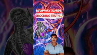 MAMMARY GLANDS The Shocking Truth Behind Their Function 😱  Biology NEET  Class 12th [upl. by Weir]