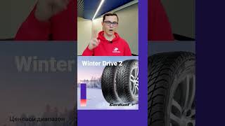 Cordiant Winter Drive 2 шиномонтаж шины авто [upl. by Ramma]