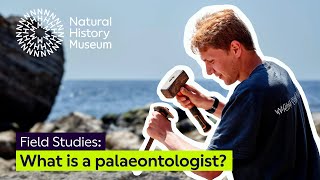 What is a palaeontologist  Field Studies [upl. by Fullerton516]