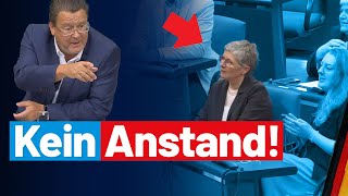 Stephan Brandner kritisiert AltparteienStaat Grüne kann es nicht lassen AfDFraktion [upl. by Aeki205]