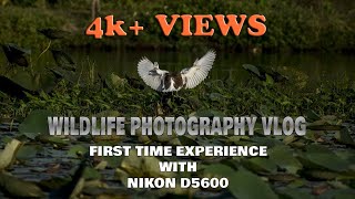 WILDLIFE PHOTOGRAPHY VLOG WITH NIKON D5600 amp 70300mm LENS [upl. by Maxie]