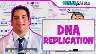 Cell Biology  DNA Replication 🧬 [upl. by Yma]