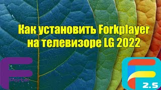 Установка и настройка Forkplayer на LG 2022 [upl. by Krista]